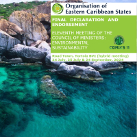 11th COM: ES 2024